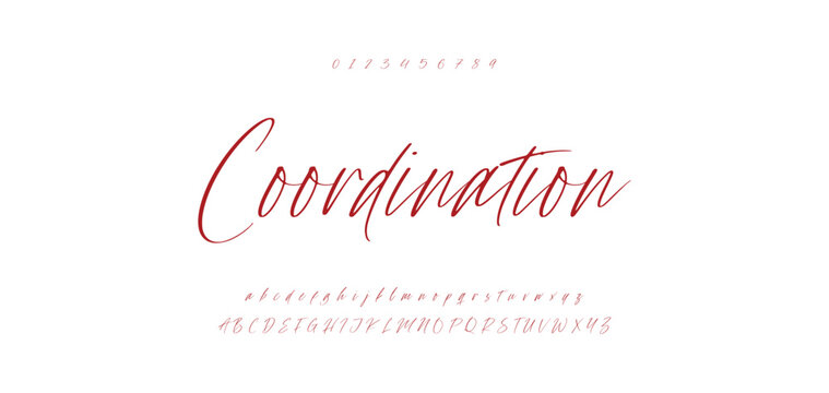 Handwrite signature font Calligraphy Logotype Script Brush Font Type Font lettering handwritten.