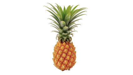 Ripe golden Pineapple with lush green spiky crown © Sarah