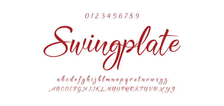 Handwrite signature font Calligraphy Logotype Script Brush Font Type Font lettering handwritten.