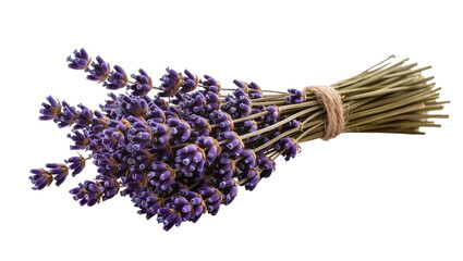 Dried Lavender Bundle Tied with Twine © Sarah