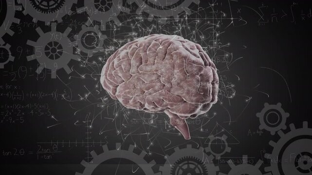 Animation of mathematical equations over cogs and brain
