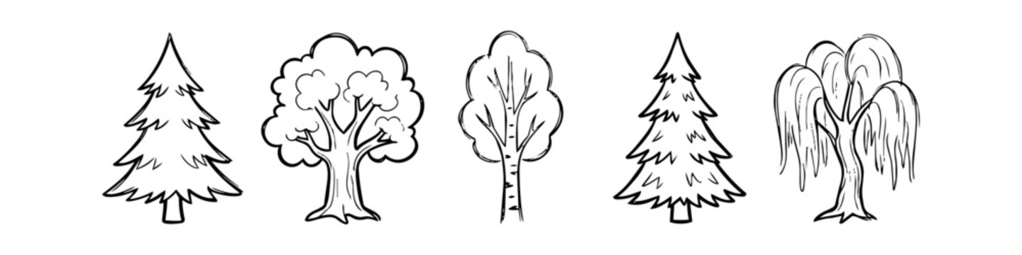 Set of five hand-drawn tree illustrations in black and white line art. Includes pine, oak, birch, and weeping willow. Ideal for nature-themed designs, logos, and educational materials.