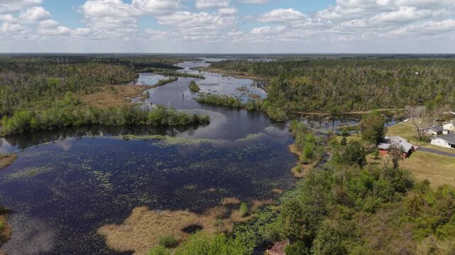 Aerial fly over wetland area with winding water channels surrounded by dense greenery, 30A, Florida, USA