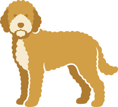 Golden Doodle Dog Illustration.