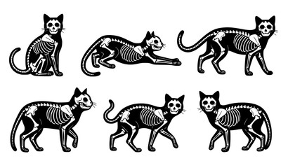 Halloween skeleton X-ray cat vector set – spooky and cute bundle © MdMostafijur