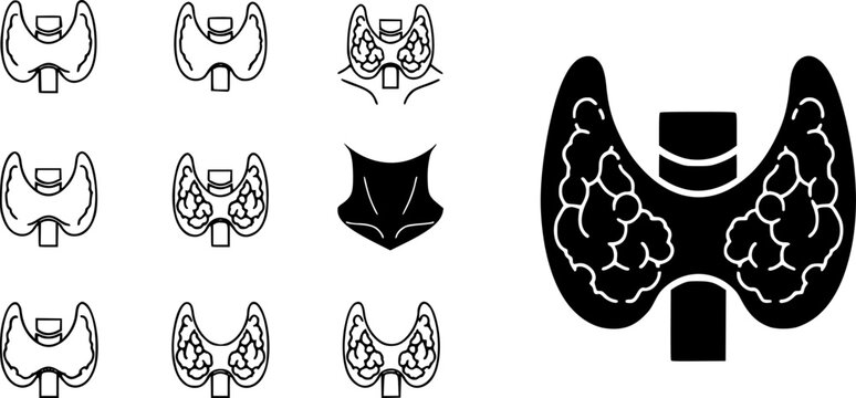 Thyroid gland icon set, line and black glyph style
