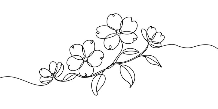 Dogwood Blossoms continuous one line drawing, Elegant dogwood floral outline, minimalist botanical illustration, Elegant single line drawing.