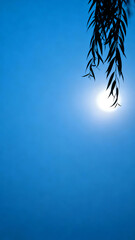 Obraz premium Willow branch against blue sky
