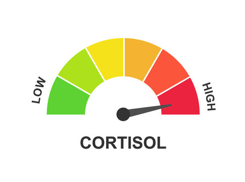 Gauge of High Cortisol Level Stock Photo
