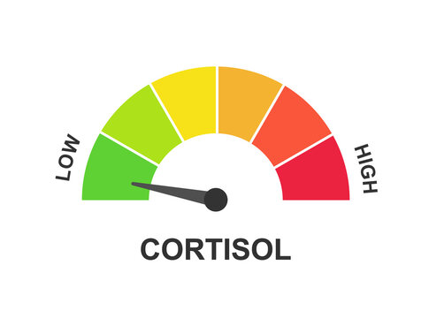 Gauge Level of Low Cortisol Stock Photo