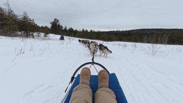 Journey Through Winter Landscapes. Immersive Experience Of Snowy Sled Ride Through Wilderness Landscapes