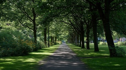 Obraz premium Spring park avenue with empty path lined by lush green trees, grassy fields on both sides, wide-angle perspective creating peaceful atmosphere, ideal for nature strolls, relaxation, urban greenery, or