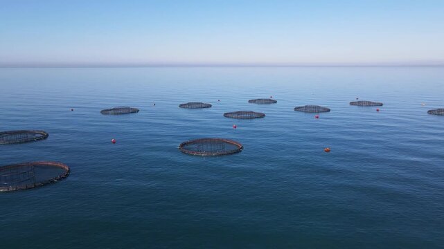 Footage of fish ponds, the main form of aquaculture. Salmon, sea bass, sea bream and trout are the most commonly grown fish in fish ponds used for commercial fishing in the sea, lakes and ponds.