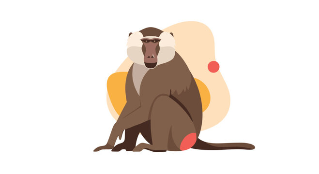Characterful baboon sitting calmly in front of soft abstract yellow and pink shapes on a clean white background.