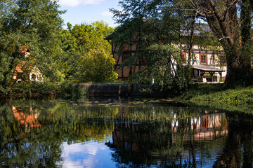 Fototapeta premium Waterlogged pond and old overgrown summer garden 