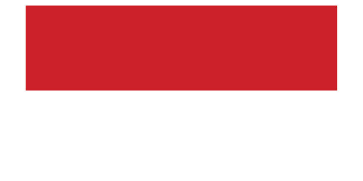 A large red rectangle on a transparent background for design and artistic purposes