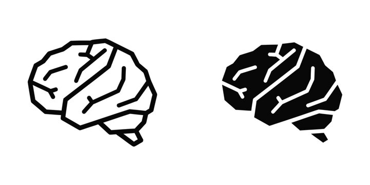 Contrasting visual representations of the human brain from different perspectives
