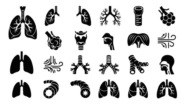 Medical Respiratory System Lungs Breathing Anatomy Glyph Vector Icons Set
