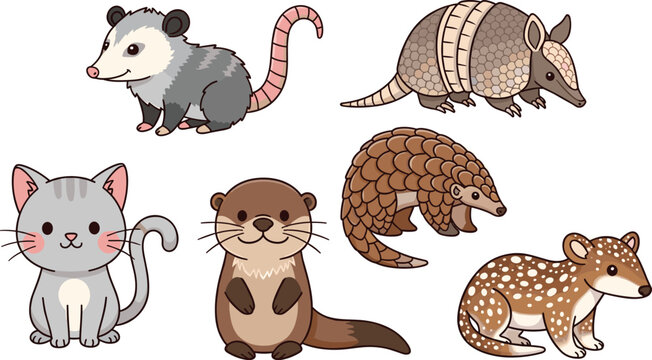 Cute Small and Exotic Animal Vector Set with Opossum, Armadillo, Cat, Otter, Pangolin, and Fawn Illustrations for Children&rsquo;s Books, Educational, Web, Apps, and Print Designs