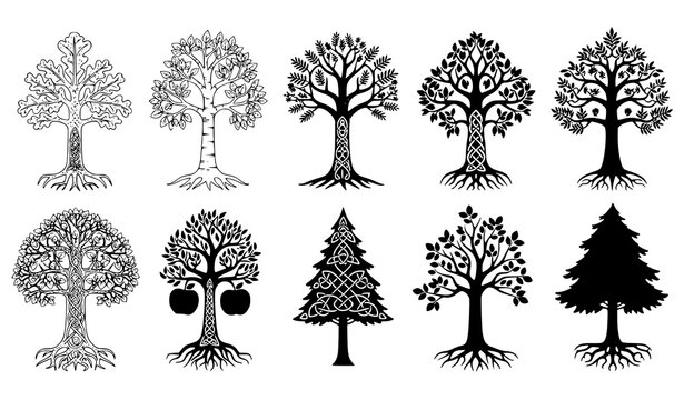 Celtic tree vector set &ndash; knotwork and ornamental illustration bundle