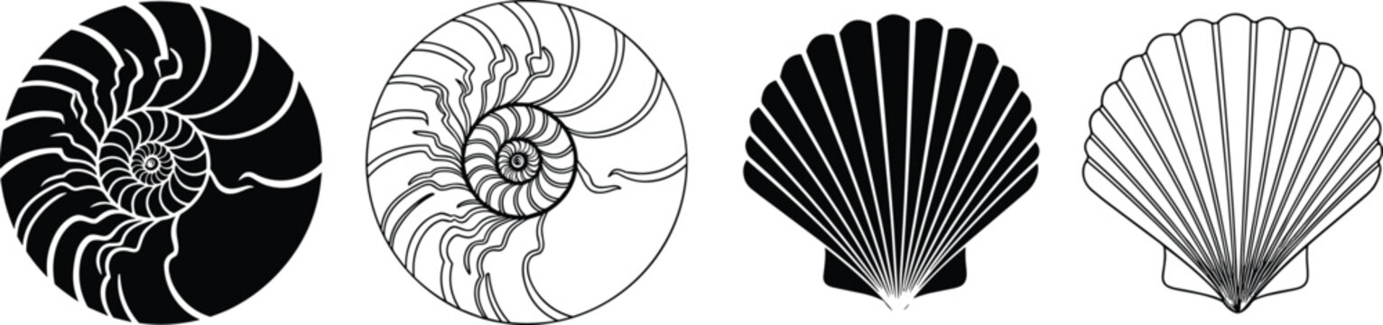 Seashell Vector Set Illustrations Featuring Nautilus Shells and Scallop Shells in Black and White Silhouette and Line Art Styles for Marine, Ocean, and Coastal Designs