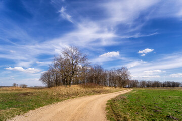 Kwietniowe łąki nad Narwią, Podlasie, Polska © podlaski49