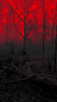 Dark Eerie Forest with Blood Red Sky and Silhouetted Bare Trees. Vertical Panorama 
