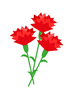 母の日 カーネーションのイラスト素材