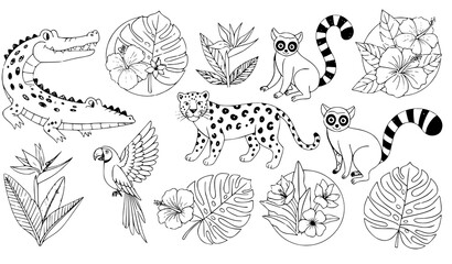 A black and white vector illustration of jungle animals and leaves © Mdkhoka