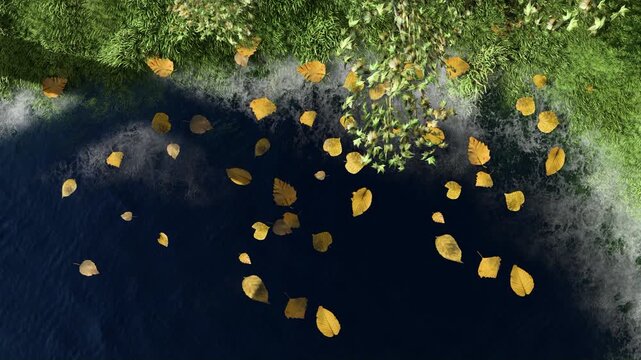 Falling Leaves over Dark Water with Misty Abstract Texture Cinematic Footage
