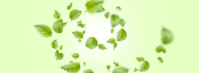 Fresh green mint leaves swirl floating in air with natural motion effect, realistic vector background. Organic herbal concept, cosmetic product design and sustainable beauty banner illustration. © klyaksun