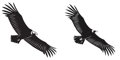 Fototapeta premium Two black and white illustrations of eagles flying side by side