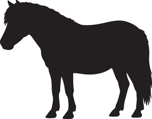 Fototapeta premium Shetland Pony icon on white background.
