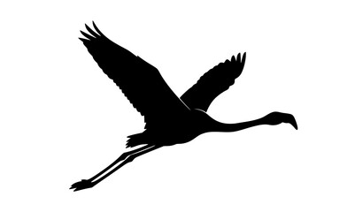 Flying flamingo silhouette elegant tropical bird with spread wings vector illustration isolated on white background © Md Humaun