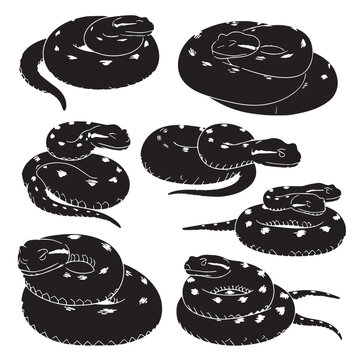 Black Puff adder Silhouette Vector, High Quality Illustration on White Background