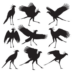 Obraz premium Black Secretary bird Silhouette Vector, High Quality Illustration on White Background