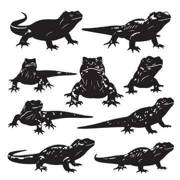 Black Tuatara Silhouette Vector, High Quality Illustration on White Background