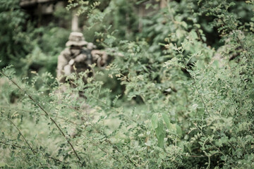 Obraz premium Soldier in camouflage gear aiming a rifle through dense green foliage