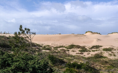 Fototapeta premium Beautiful view to the sandy mountain with local vegetation and cloudy blue sky. Cresmina Dunes is part of the Guincho-Oitavos dune system, located on the edge of Sintra-Cascais Natural Park, Portugal.