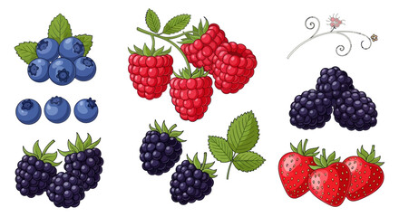 Fresh Berries and Strawberries Together. © Asbut