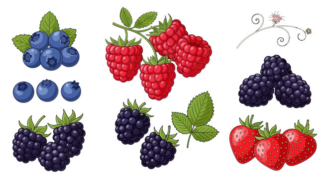 Fresh Berries and Strawberries Together.