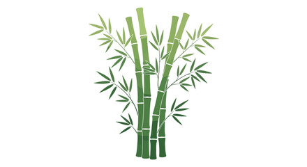 Fototapeta premium Bamboo stalks with green leaves.