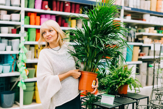 Gardening, planting and shopping concept. Beautiful mature adult woman choosing houseplants and pots in greenhouse or garden centre. Senior buying flowers plants at market store in mall.