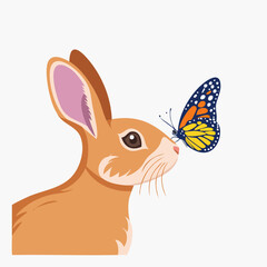 Obraz premium Rabbit meets a butterfly on a white background.