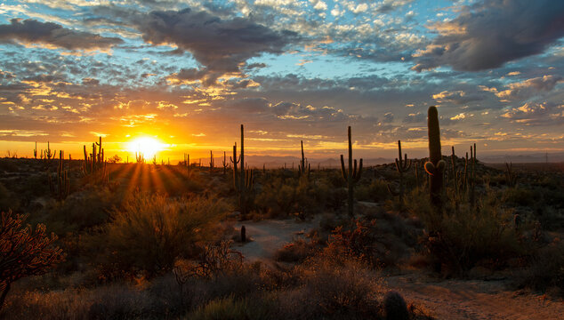 Wide Ratio Arizona Desert Sunset Landscape With Sunrays In Phoenix Area 
