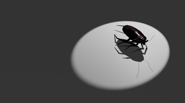 Cockroach Emerging From Cracked Egg on Dark Background, Symbolizing New Life