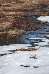 Fototapeta premium Spring thaw with melting snow and puddles on dry grass
