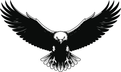 Fototapeta premium Eagle bird with outstretched wings hunting in air on transparent background.