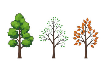 Fototapeta premium Three distinct trees showcasing seasonal foliage variations from green to autumn colors isolated on transparent background
