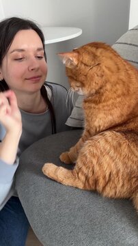 Young woman giving tasty snacks to her domestic orange cat sitting on the chair at home. Spending time at home with pets, domestic life
